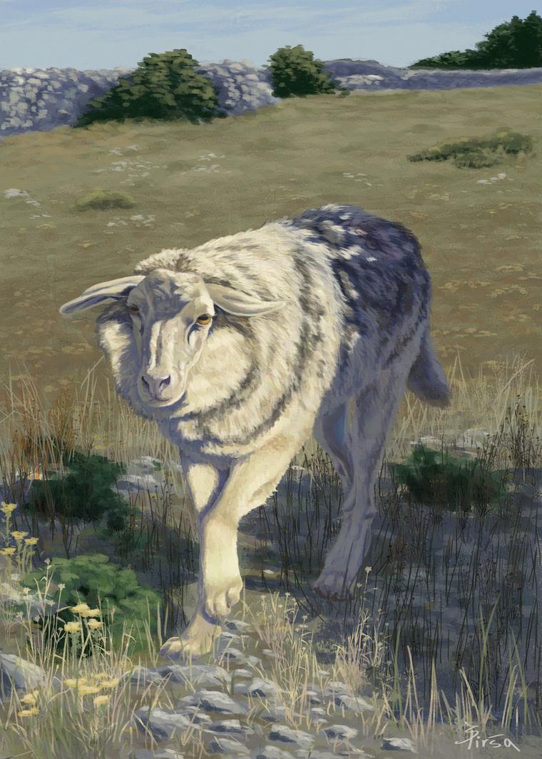 Woolf
